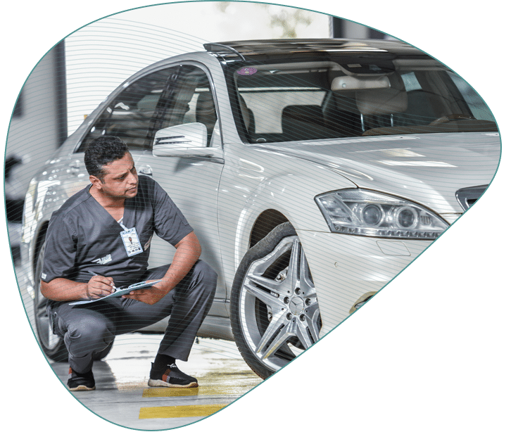 تقديرات المالكي